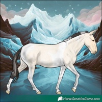Horse Color:Buckskin Roan Dun Tobiano