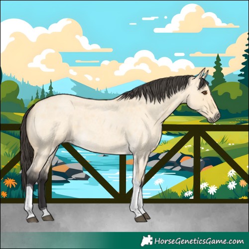 Horse Color:Buckskin Roan Dun Tobiano 