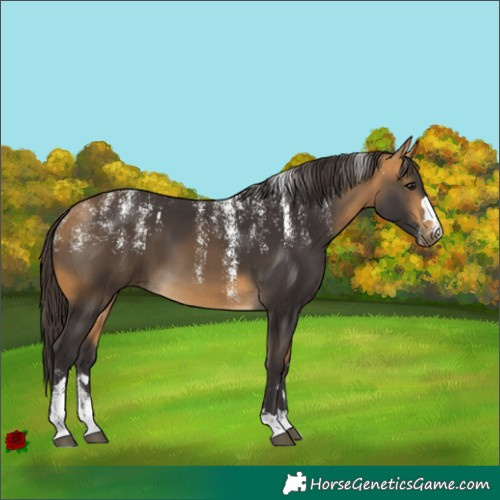Horse Color:Powder White Buckskin
