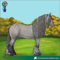 Horse Color:Grullo Tobiano Appaloosa Rabicano