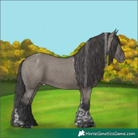 Horse Color:Grullo Tobiano Appaloosa Rabicano 