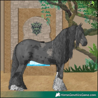 Horse Color:Black Merle Tobiano Rabicano 