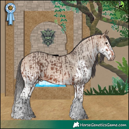 Horse Color:Bay Merle Tobiano  and Bay Dun Merle Splash Tobiano 