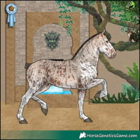 Horse Color:Bay Merle Tobiano and Bay Dun Merle Splash Tobiano