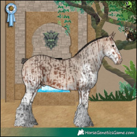 Horse Color:Bay Merle Tobiano  and Bay Dun Merle Splash Tobiano 