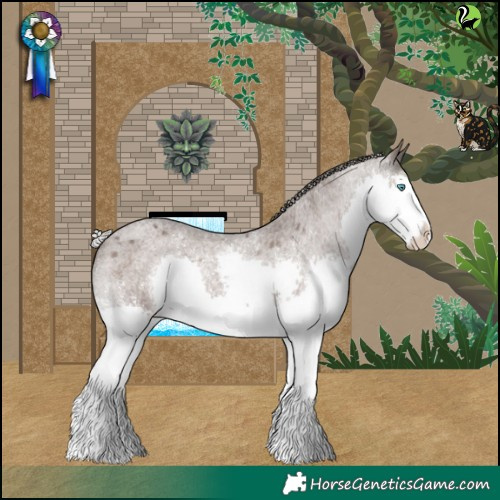 Horse Color:Silver Blue Roan Splash Varnish 