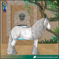 Horse Color:Silver Blue Roan Splash Appaloosa