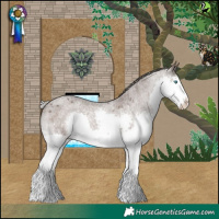 Horse Color:Silver Blue Roan Splash Varnish