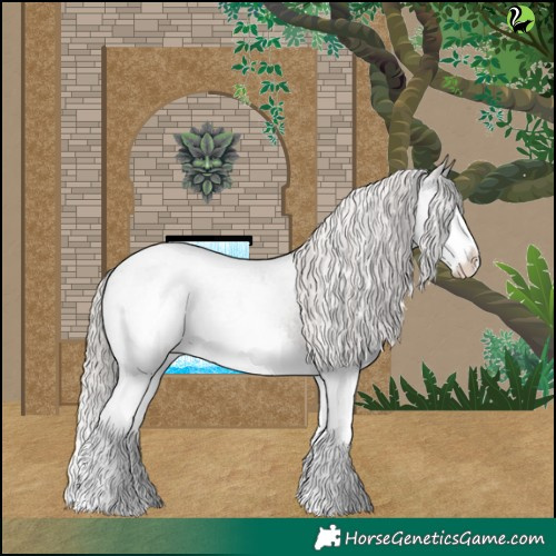 Horse Color:Silver Blue Roan Splash Appaloosa 