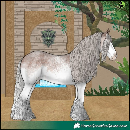 Horse Color:White Spotted Silver Brown Roan Splash 