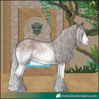 Horse Color:White Spotted Silver Brown Roan Splash