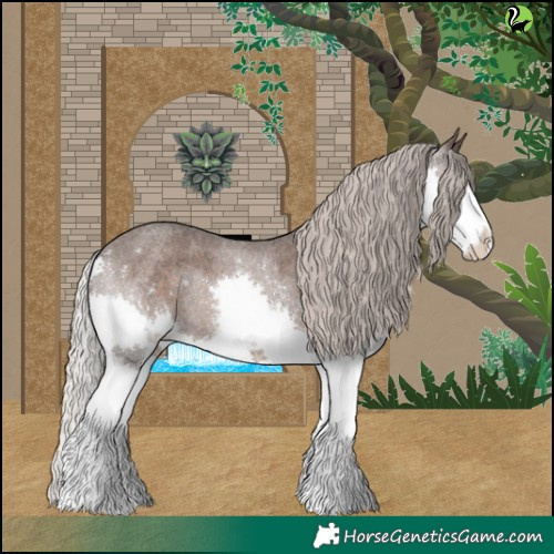 Horse Color:Silver Blue Roan Splash 