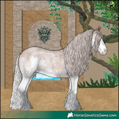 Horse Color:Silver Blue Roan Splash 