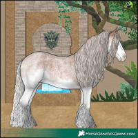 Horse Color:Silver Brown Roan Splash