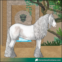 Horse Color:Silver Blue Roan Splash Tobiano 