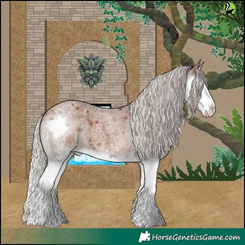 Horse Color:Silver Blue Roan Splash Appaloosa 