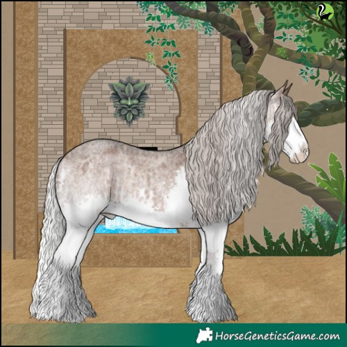 Horse Color:Silver Brown Roan Dun Splash  and Silver Brown Roan Splash 