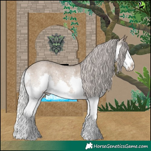 Horse Color:Silver Brown Roan Dun Splash 
