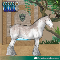 Horse Color:Silver Brown Roan Dun Splash  and Silver Brown Roan Splash 