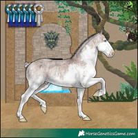 Horse Color:Silver Brown Roan Dun Splash and Silver Brown Roan Splash