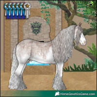 Horse Color:Silver Brown Roan Dun Splash  and Silver Brown Roan Splash 