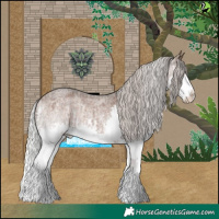Horse Color:Silver Brown Roan Dun Splash and Silver Brown Roan Splash