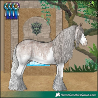 Horse Color:Silver Brown Roan Dun Splash and Silver Brown Roan Splash