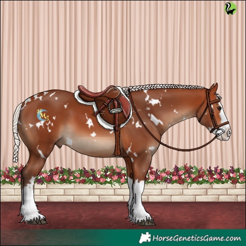 Horse Color:White Spotted Silver Bay Splash 