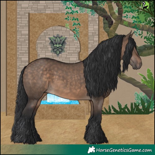 Horse Color:Brown Dun Rabicano 