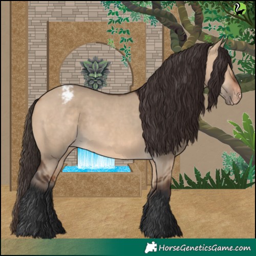 Horse Color:Bay Dun Appaloosa 
