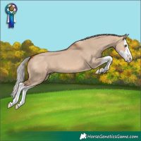 Horse Color:Silver Brown Dun Splash 