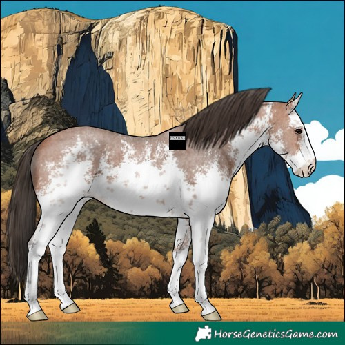 Horse Color:White Spotted Bay Ice Sabino