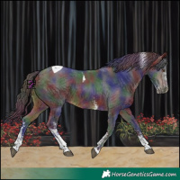 Horse Color:Nacre Brown Sabino Tobiano 