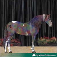 Horse Color:Nacre Brown Sabino Tobiano 