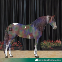 Horse Color:Nacre Brown Sabino Tobiano