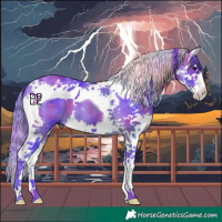 Horse Color:Nacre Watercolor Bay Splash Tobiano