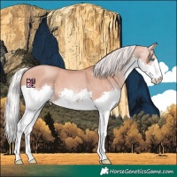 Horse Color:Silver Sable Champagne Splash
