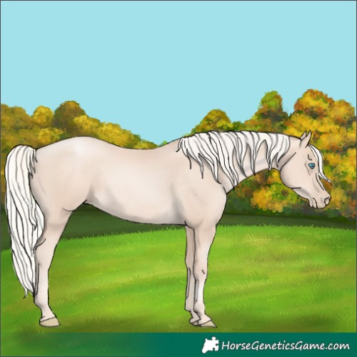 Horse Color:Gold Cream Champagne Pearl 