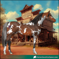 Horse Color:White Spotted Bay