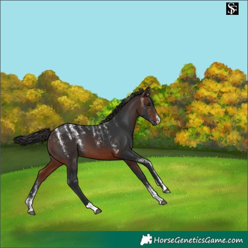 Horse Color:Powder White Brown