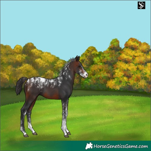 Horse Color:Powder White Brown 