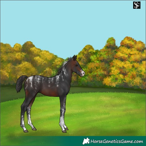 Horse Color:Powder White Brown