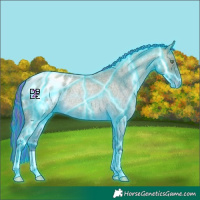 Horse Color:Painted Thunderstruck Amber Cream Champagne Roan Appaloosa 