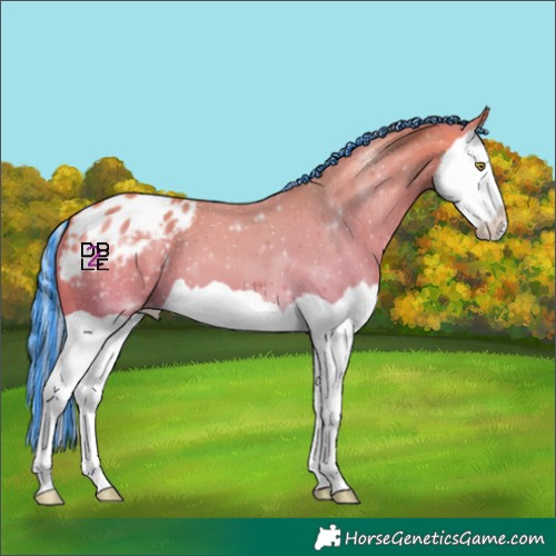 Horse Color:Painted Watercolor Silver Amber Champagne Splash Appaloosa 