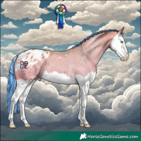 Horse Color:Painted Watercolor Silver Amber Champagne Splash Appaloosa 