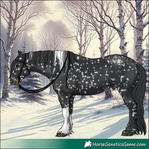 Horse Color:Black Tobiano Snowflake Varnish 