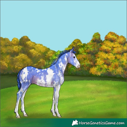 Horse Color:Watercolor White Spotted Brown 