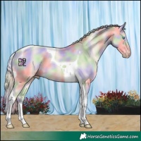 Horse Color:Nacre Cremello Tobiano 