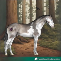 Horse Color:Blue Onyx Splash 