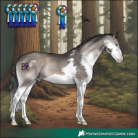 Horse Color:Blue Onyx Splash